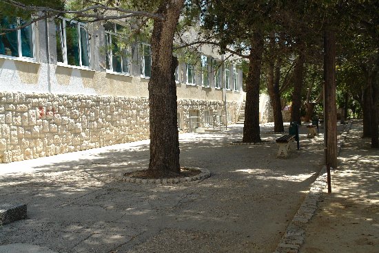 Školsko dvorište